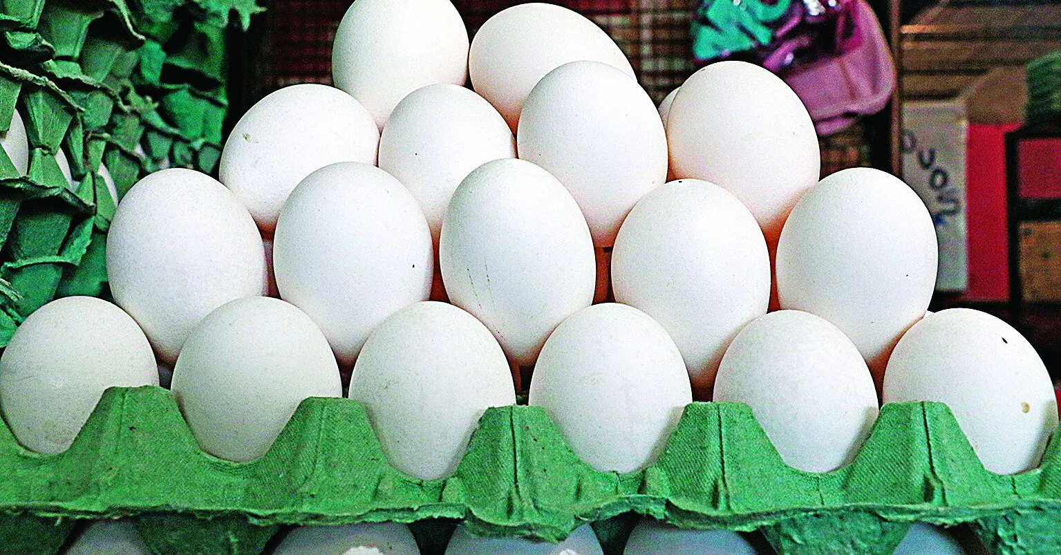 Pesquisa sobre o preço do ovo foi feita em supermercados da Região Metropolitana de Belém.