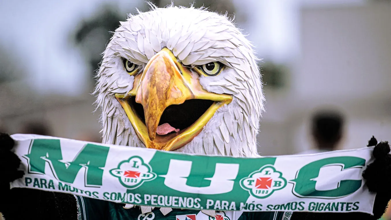 A Águia Guerreira do Souza quer fazer história!