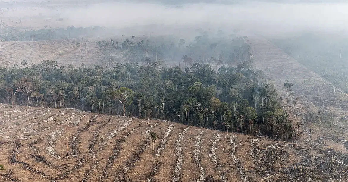 Imagem ilustrativa da notícia: Fundo da Amazônia terá contribuição de R$ 91 milhões da Irlanda