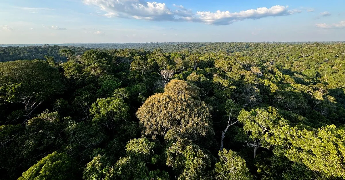 Cidades teriam sido construídas pelos povos Kilamope e Upano, que habitaram a região entre 500 a.C. e 600 d.C