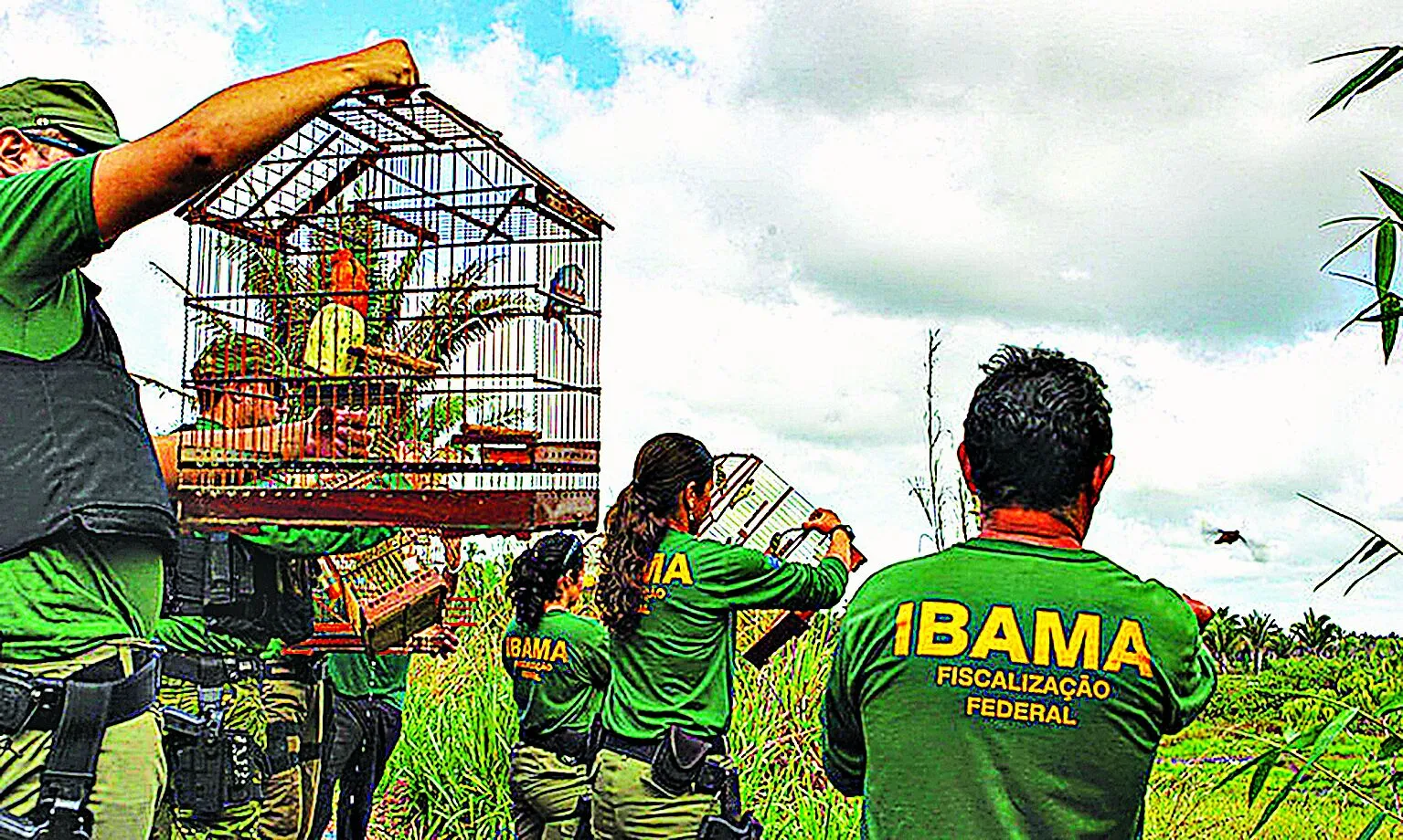 Vagas são para o cargo de analista, com salário de quase R$ 10 mil