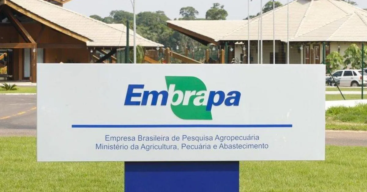 Inscrições para o concurso da Embrapa foram prorrogadas até 17/01/2025.