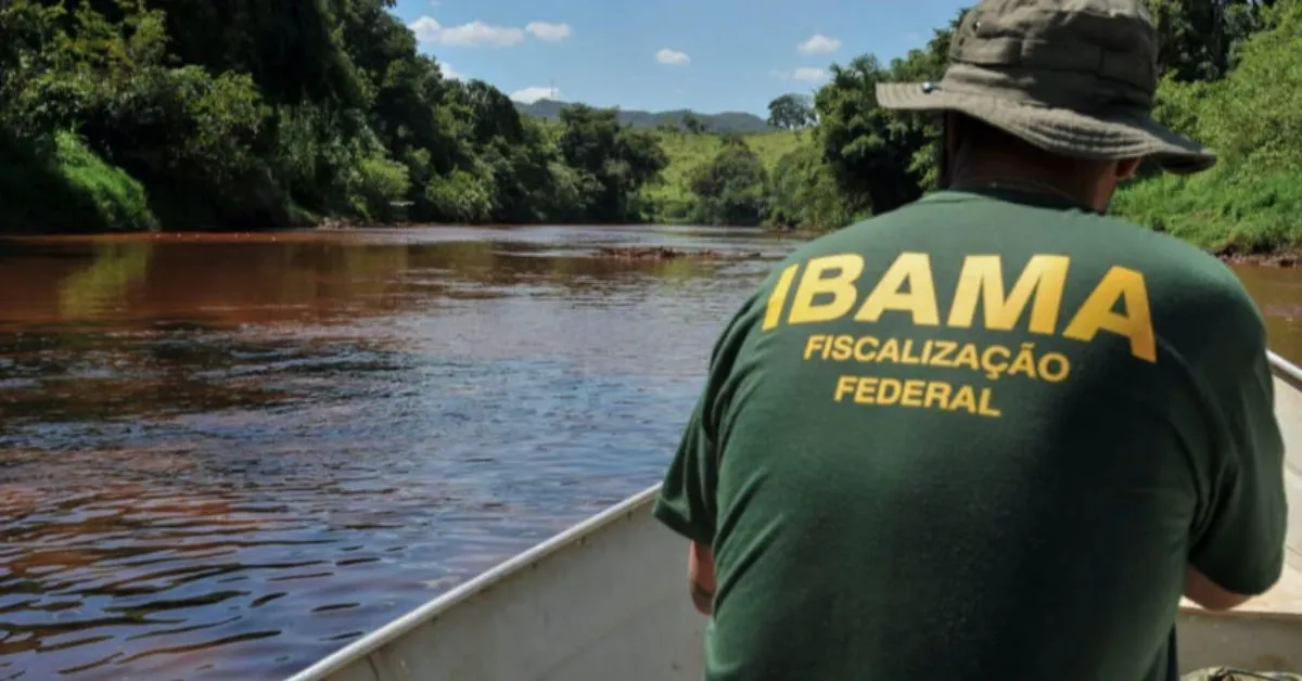 São aceitos diplomas de nível superior em qualquer área de formação. A seleção vai preencher oportunidades para Analista Administrativo e Analista Ambiental.