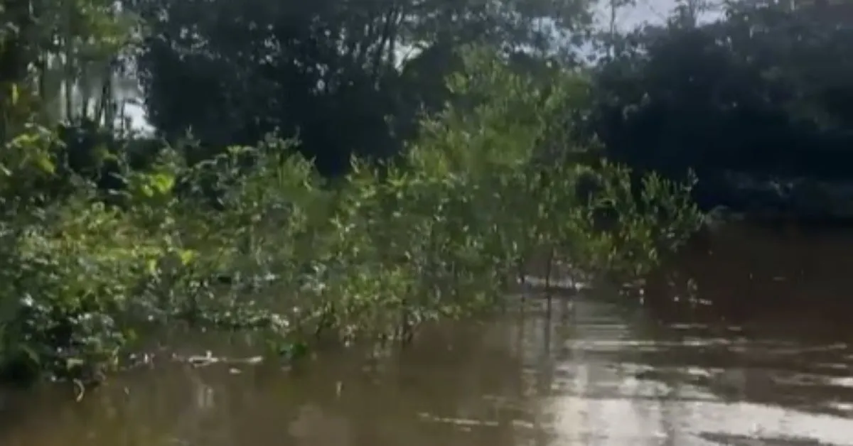 Corpo foi avistado na área da Volta Redonda, depois do Pedral do Lourenço em Itupiranga, há 50 quilômetros de Marabá, próximo ao lago de Tucuruí.