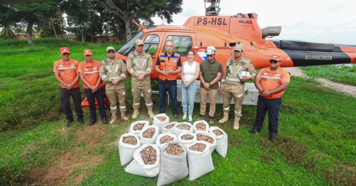 O trabalho deve se estender a outros municípios em todo o estado que também sofreram com os incêndios