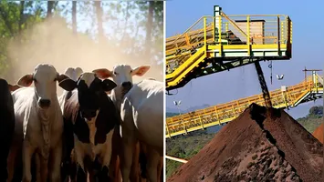 Setores como o Agronegócio, a Mineração e o de Serviços são os que mais contribuem para o desenvolvimento econômico acelerado da economia estadual