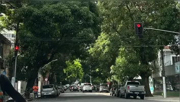 Conhecida como cidade das mangueiras, Belém tem várias ruas com árvores centenárias.