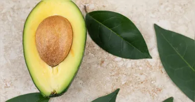 Abacate pode ser aproveitado desde a polpa às folhas