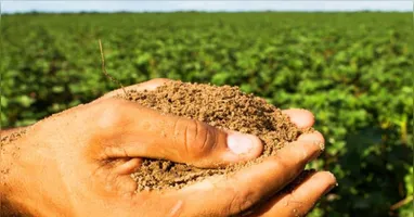 Projeto de lei revoga contribuição para reduzir custos de produtores e consumidores em meio ao cenário econômico atual