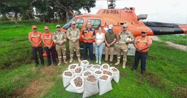 O trabalho deve se estender a outros municípios em todo o estado que também sofreram com os incêndios