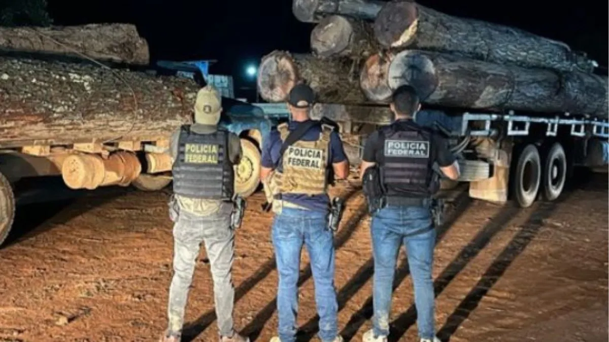 Imagem ilustrativa da notícia PF deflagra operação contra extração ilegal de madeira em terra indígena