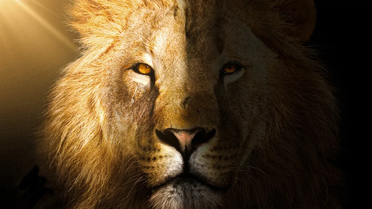 Imagem ilustrativa da notícia Imposto de Renda 2025: prazo para declaração começa hoje