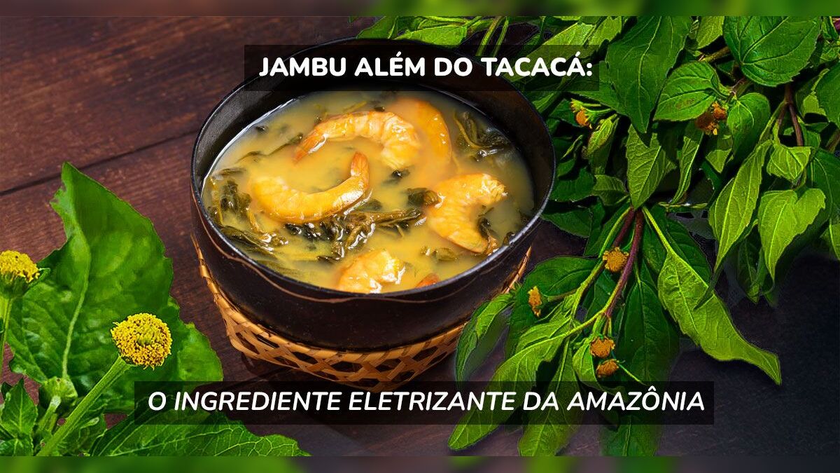 Jambu além do tacacá: o ingrediente eletrizante da Amazônia