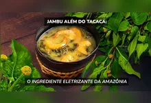 Imagem ilustrativa da notícia Jambu além do tacacá: o ingrediente eletrizante da Amazônia