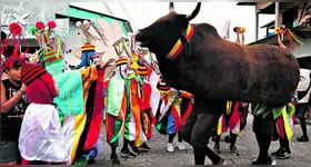 São Caetano de Odivelas voltou a ser palco de mais uma apresentação do Boi Faceiro, tradicional na cidade.