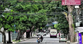 O famoso corredor de mangueiras da Praça da República é uma exceção em relação ao resto da cidade