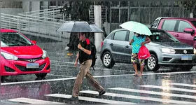 As chuvas que se iniciaram em dezembro vão ficar cada vez mais intensas. Não esqueça a sombrinha!