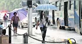 Fevereiro inicia o período mais chuvoso do trimestre no Pará. Chuva deve seguir até abril.