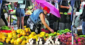 Produtos da agricultura familiar a preços acessíveis