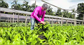 A agricultura familiar tem papel central no desenvolvimento de 90% dos municípios com até 20 mil habitantes, segundo dados da Contag