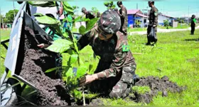 O plantio incluiu espécies de vegetais como ipê, mangueira, açaizeiro e jambeiro