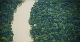 Essa diminuição de 7 km² em termos absolutos reforça a continuidade da redução das taxas de desmatamento no território estadual.