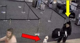 De acordo com imagens registradas, Alison foi filmada entrando em um banheiro do aeroporto com o cachorro