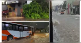 As precipitações intensas, acompanhadas de ventos fortes, causaram a queda se uma árvore de grande porte