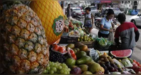 Em fevereiro, hortaliças e legumes tiveram alta de preços, com destaque para alface e cheiro-verde. Confira as variações e tendências do mercado.