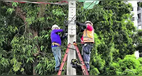 Acidentes com quedas de árvore têm provocado transtornos como desligamento da rede elétrica.