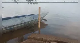 Até o momento, não há registros de transtornos causados pela variação.