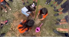 As mudas serão platadas em escolas municipais e voluntários das comunidades ribeirinhas e quilombolas de Ananindeua, e dos arredores da Ilha de Cotijuba.