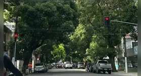 Conhecida como cidade das mangueiras, Belém tem várias ruas com árvores centenárias.