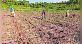 Através do sistema de Pagamentos por Serviços Ambientais, o Projeto Floresta+ Amazônia valoriza trabalhadores e trabalhadoras rurais da Amazônia Legal que preservam a floresta em suas propriedades