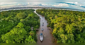 A nova edição do "Pará que Orgulha e Transforma" trará iniciativas que mudam vidas e promovem a sustentabilidade na Amazônia.