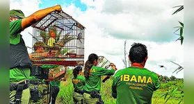 Vagas são para o cargo de analista, com salário de quase R$ 10 mil