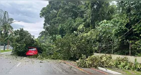 3 pessoas estavam no carro, mas ninguém ficou ferido.