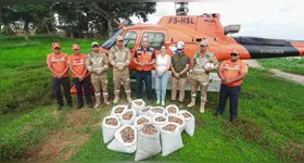 O trabalho deve se estender a outros municípios em todo o estado que também sofreram com os incêndios