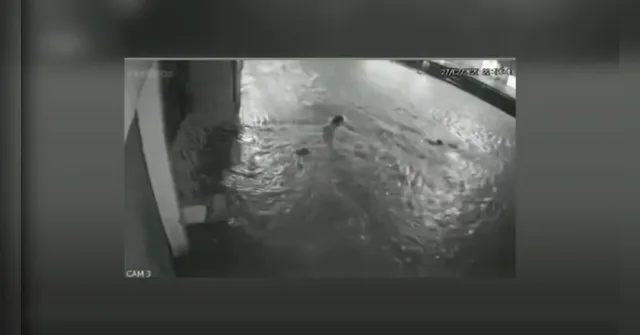 Imagem ilustrativa da notícia Criança cai em bueiro durante banho de chuva em rua alagada