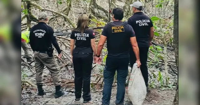 Imagem ilustrativa da notícia PC e ICMBio realizam apreensão de 140 kg de caranguejo-uçá