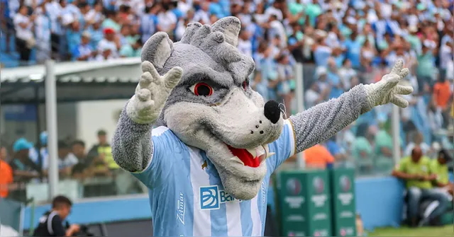 Imagem ilustrativa da notícia CBF nega pedido do Paysandu na Copa Verde 2025