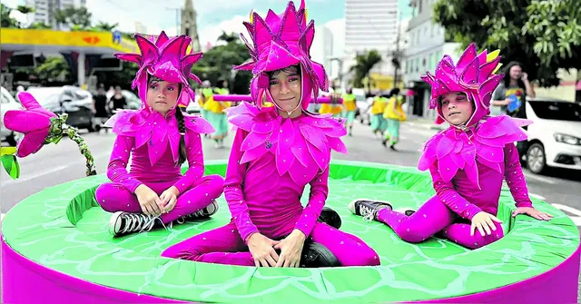 Imagem ilustrativa da notícia Bloco Crias do Curro Velho ganha as ruas de Belém