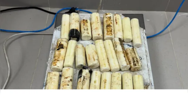 Imagem ilustrativa da notícia Colombiana é presa no Aeroporto de Belém com cocaína na mala