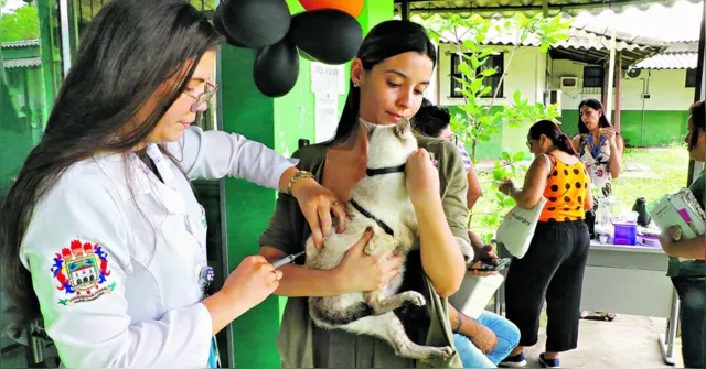 Imagem ilustrativa da notícia Ufra promove ação de vacinação gratuita de pets; confira!