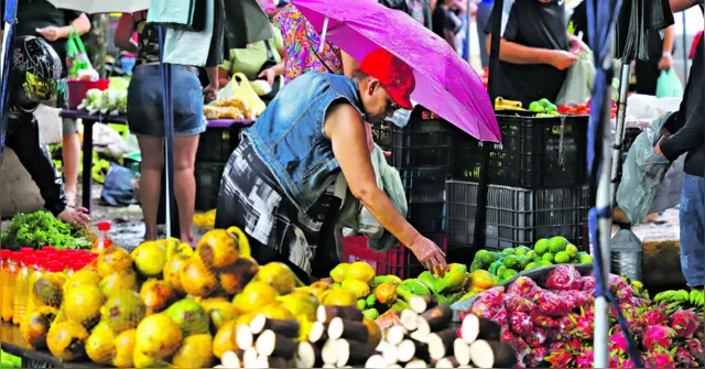 Imagem ilustrativa da notícia Feira itinerante traz alimento fresquinho e preço acessível 