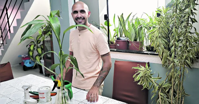 Imagem ilustrativa da notícia Conheça a melhor forma de cultivar plantas em casa