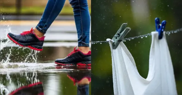 Imagem ilustrativa da notícia Confira dicas de como secar sapatos e roupas em dias chuvosos