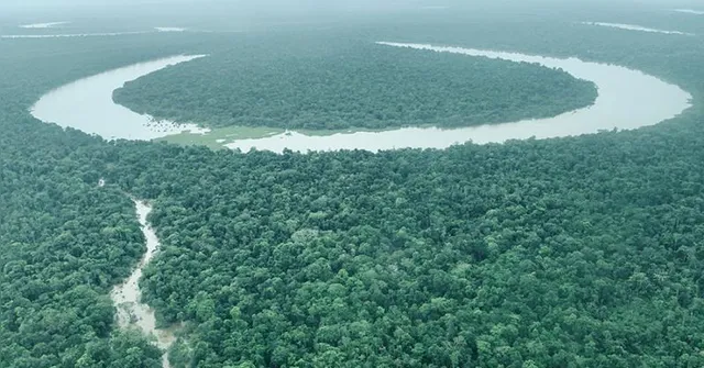 Imagem ilustrativa da notícia Amazônia vai receber R$ 2 milhões para negócios sustentáveis