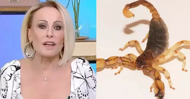 Imagem ilustrativa da notícia Ana Maria Braga é picada por escorpião em fazenda