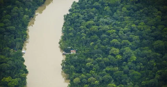 Imagem ilustrativa da notícia Pará reduz alertas de desmatamento em 15% na Amazônia